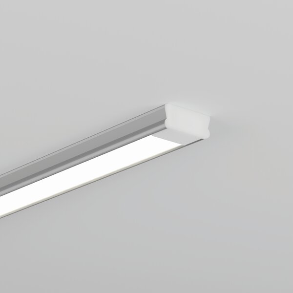 TAMI Extrusion