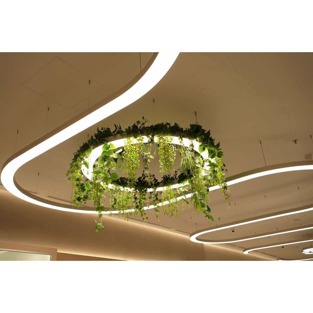 Fixture MI-VELOA--02
